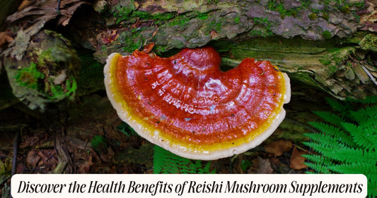 health benefits of reishi mushroom supplements