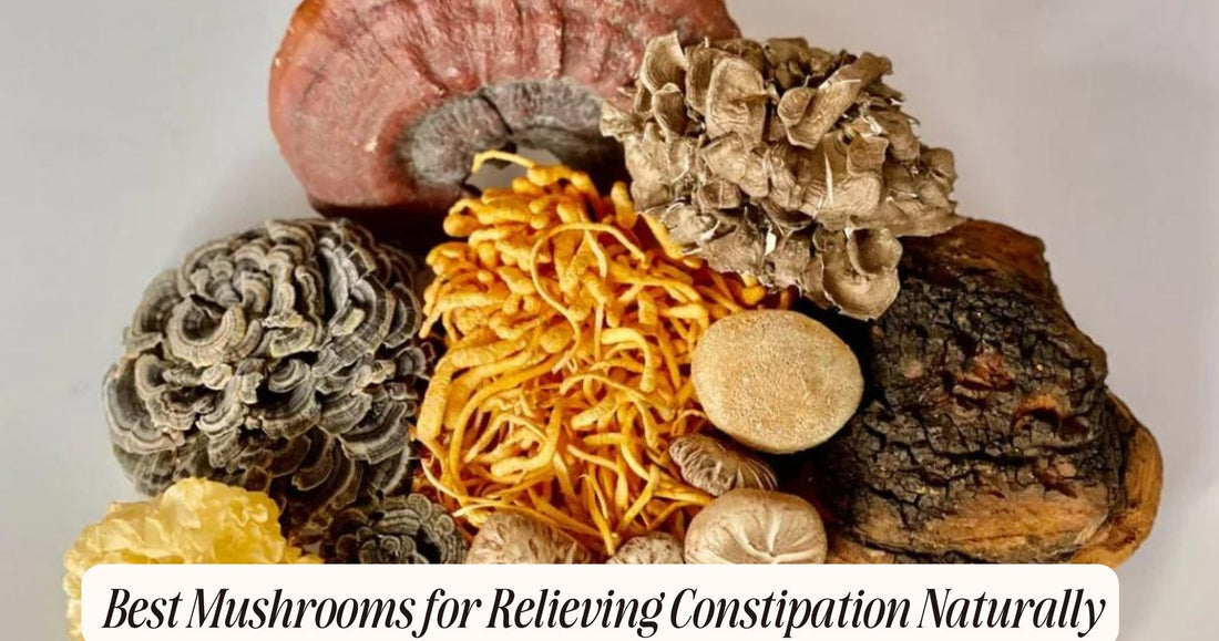 mushroom for constipation