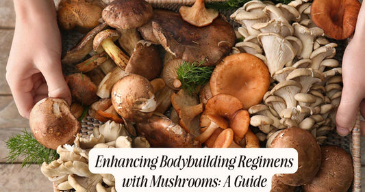 mushroom for bodybuilding