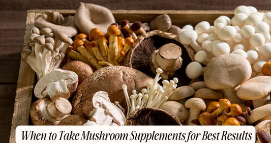 best time to take mushroom supplements