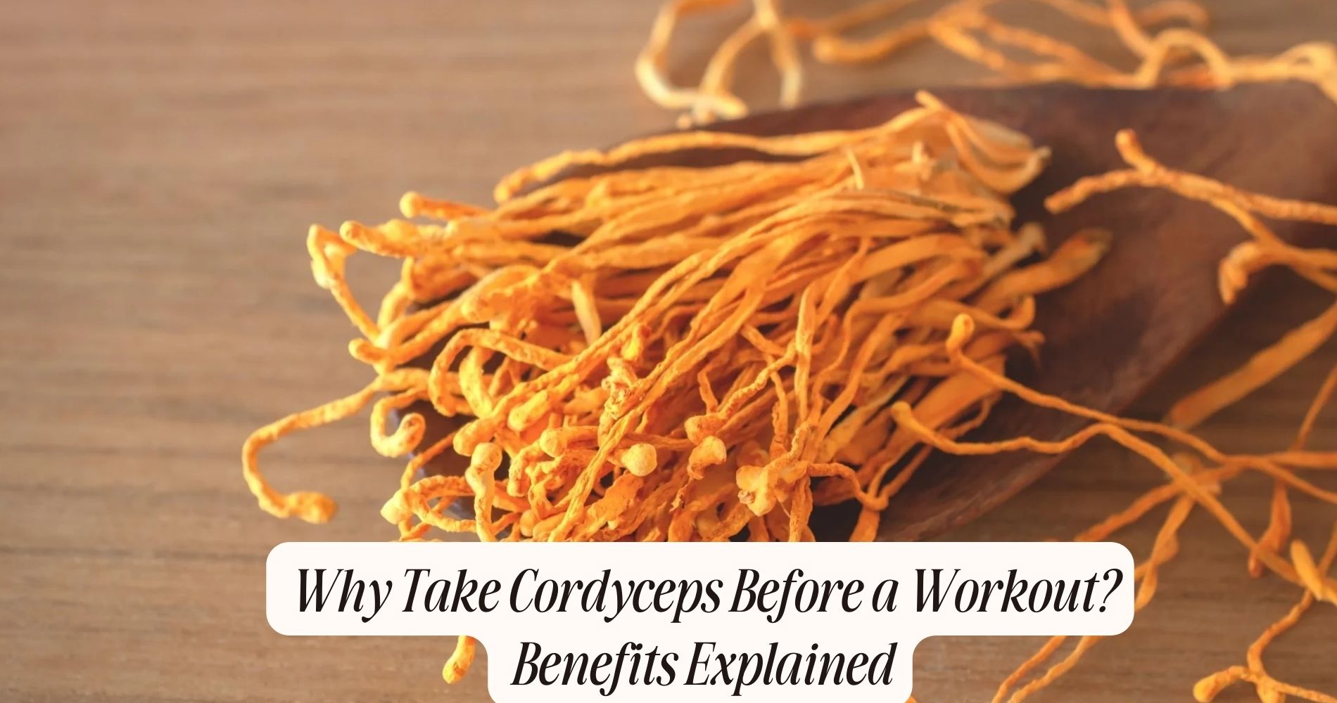 cordyceps before workout