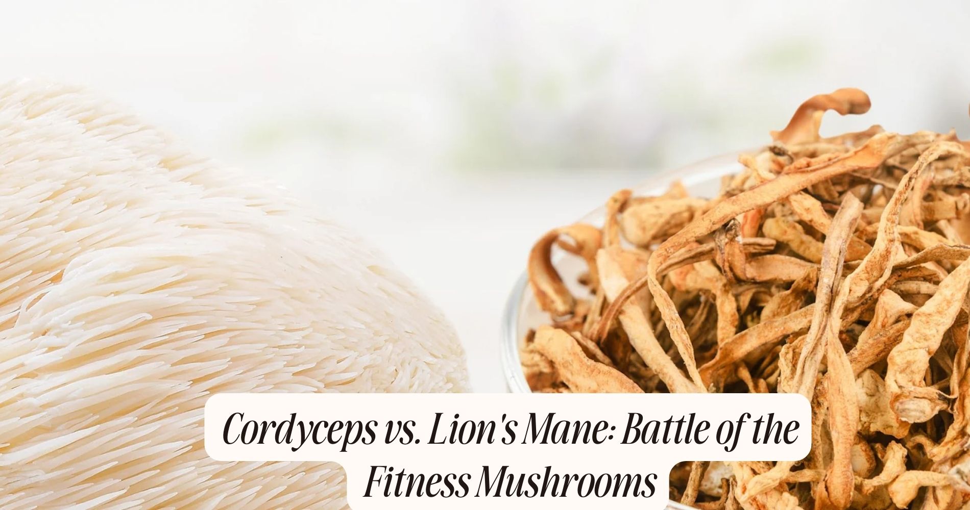 cordyceps vs lions mane