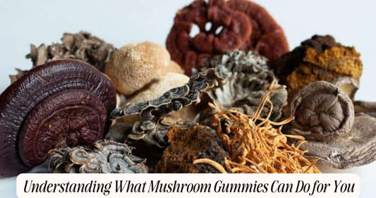 what do mushroom gummies do