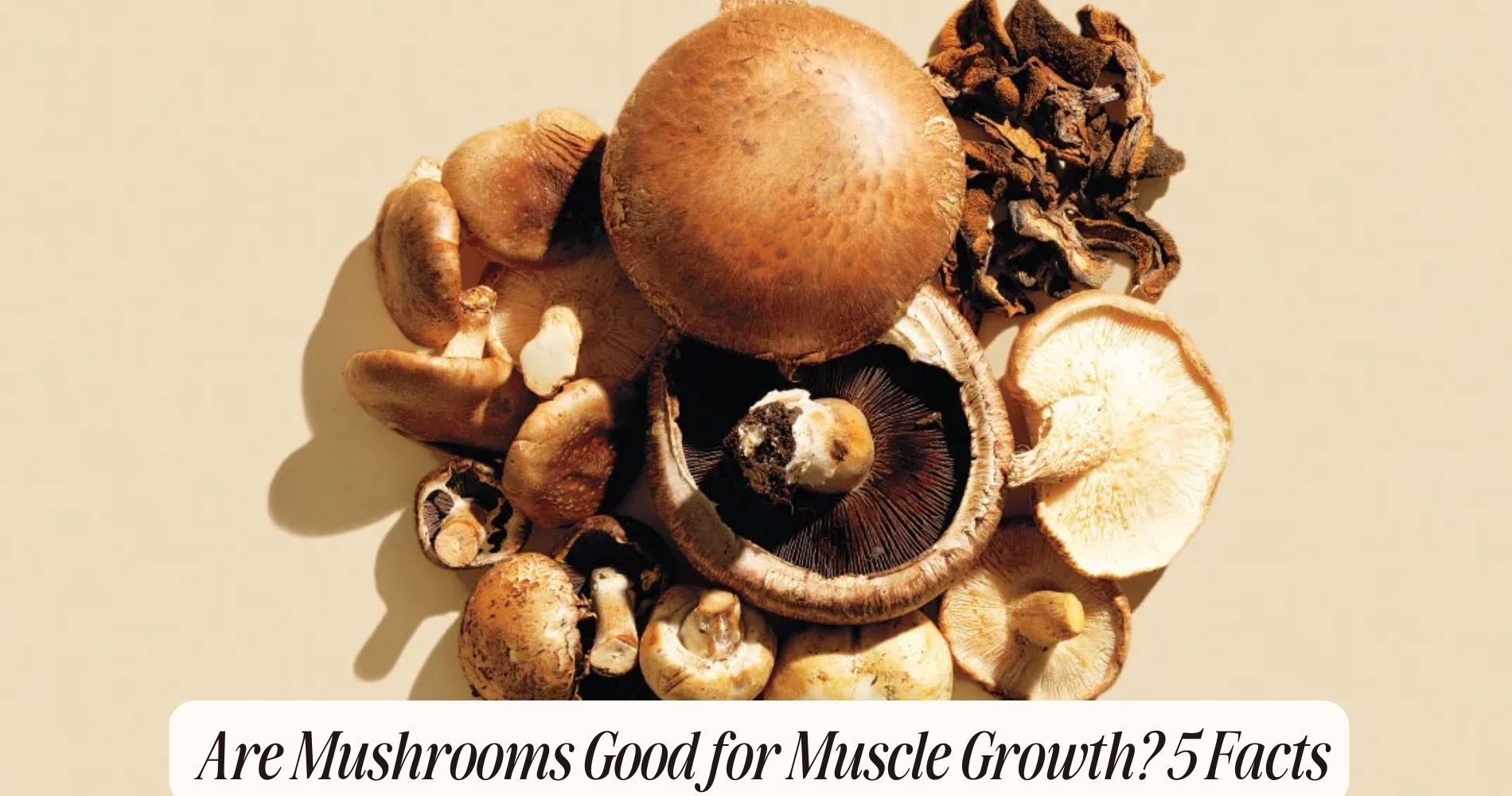 are mushrooms good for muscle growth