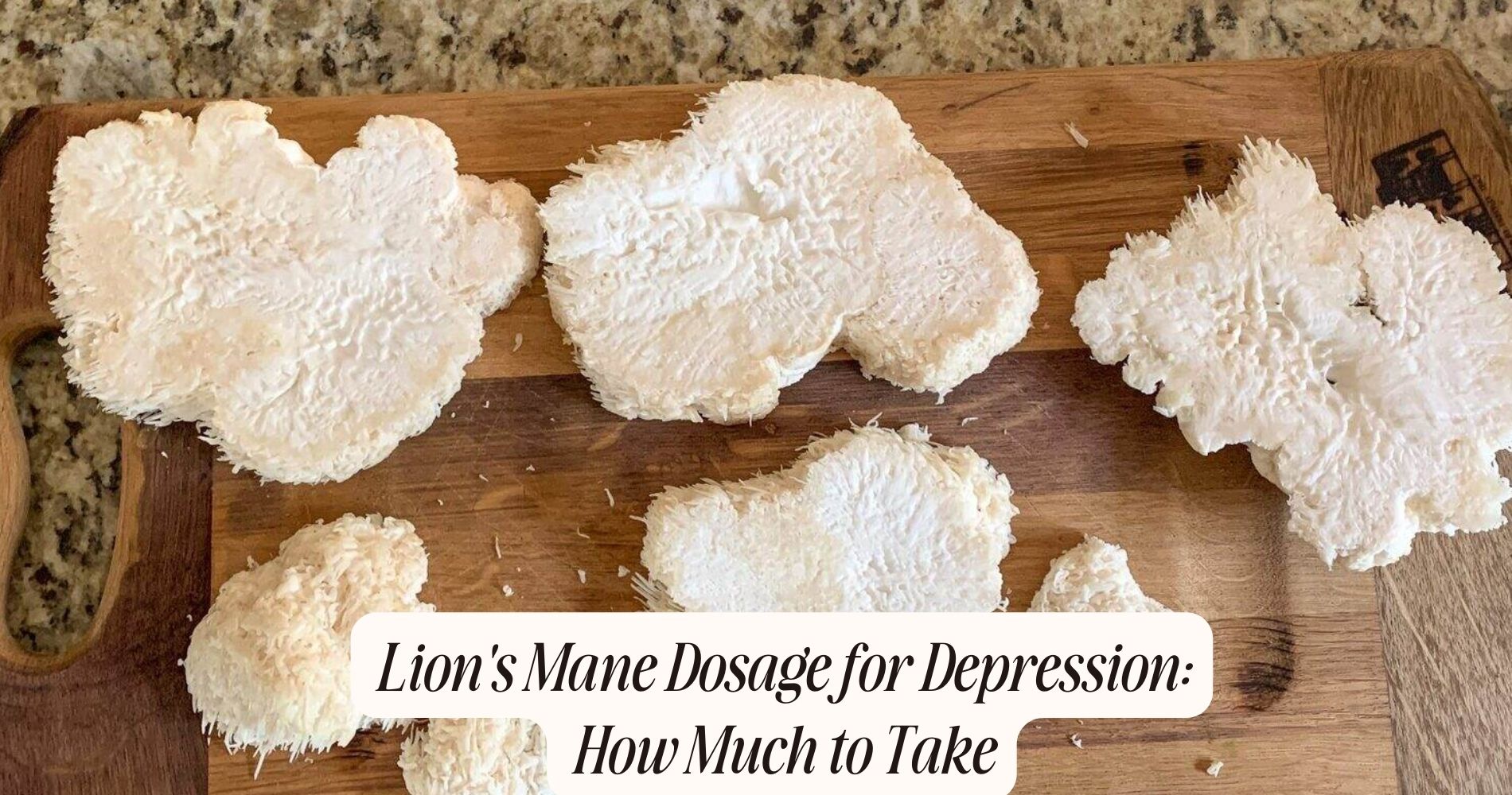 lion's mane dosage for depression