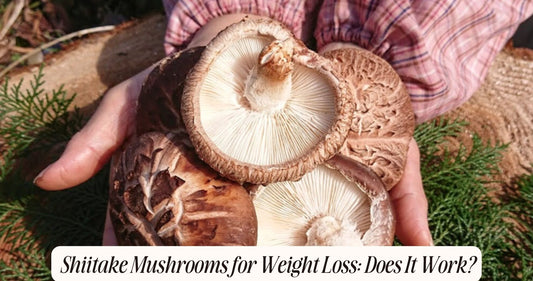 shiitake mushroom weight loss