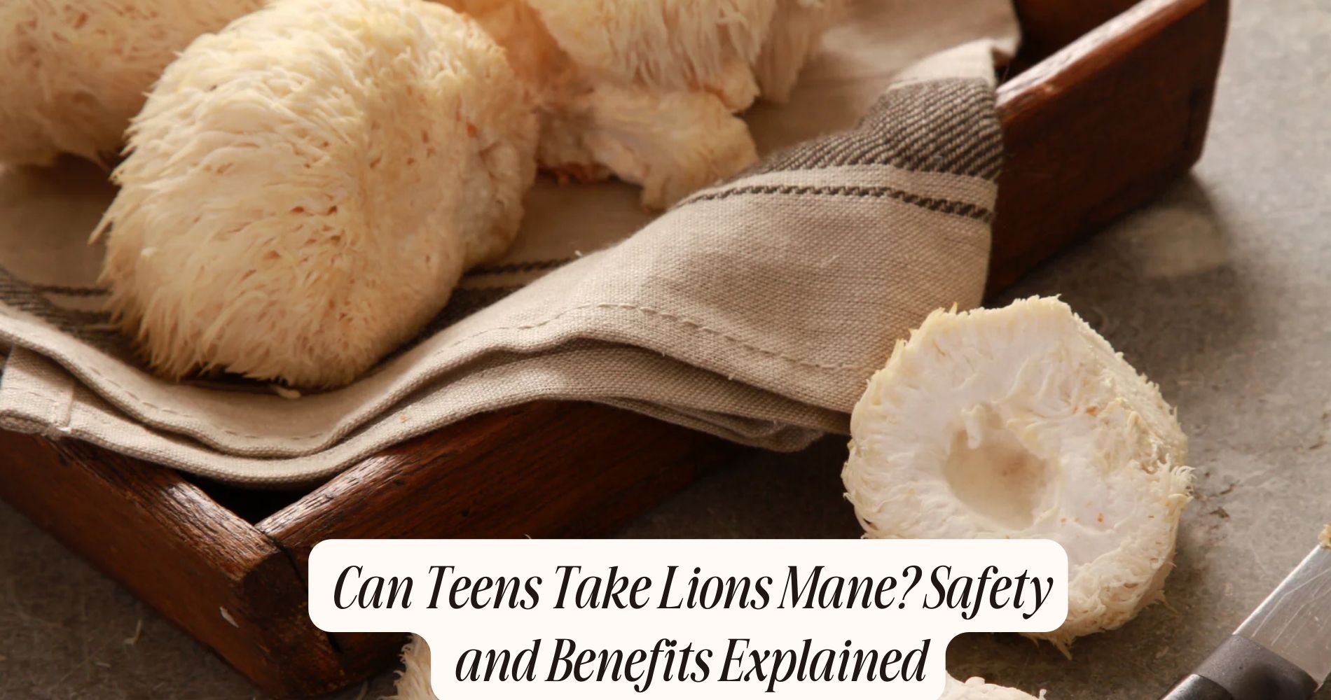 can teens take lions mane