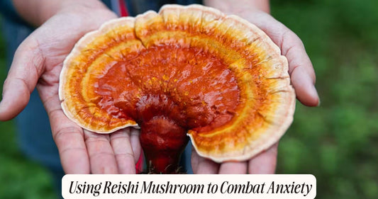 reishi mushroom for anxiety