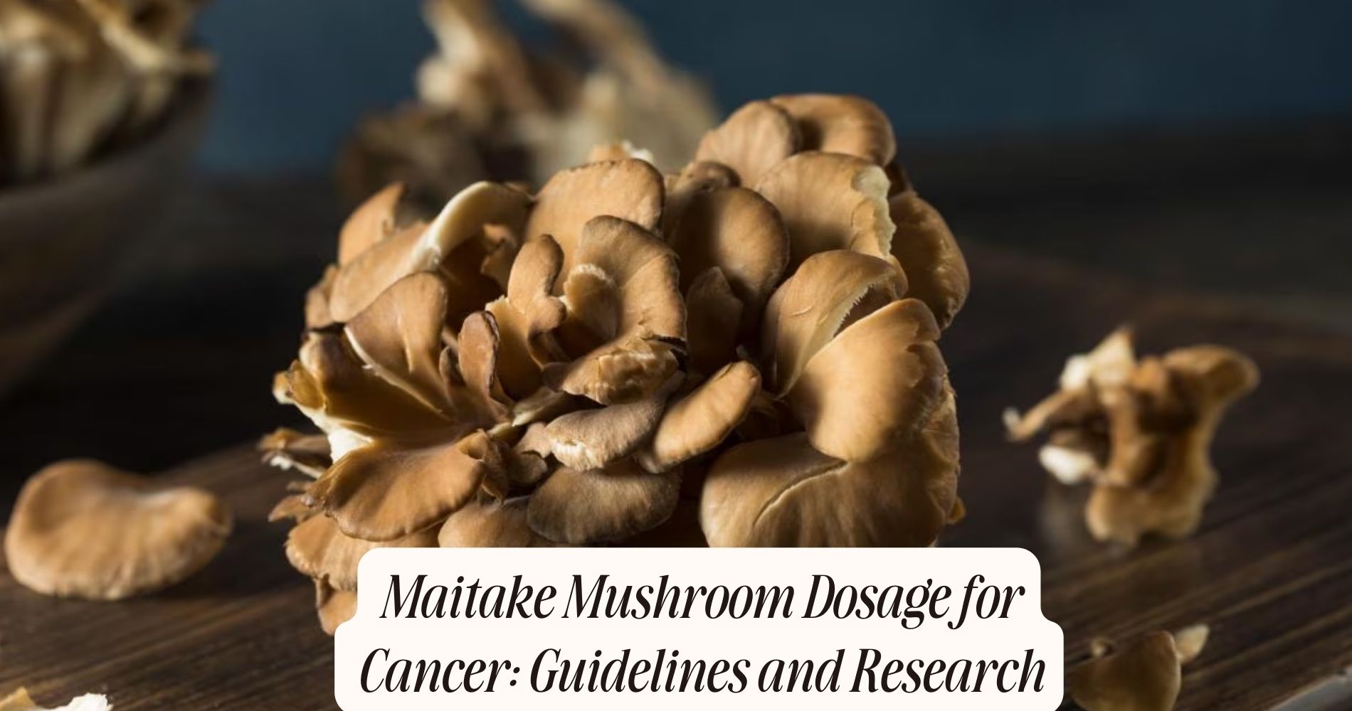 maitake mushroom dosage for cancer