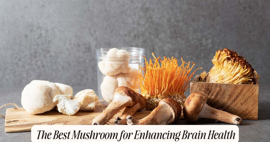what is the best mushroom for brain health