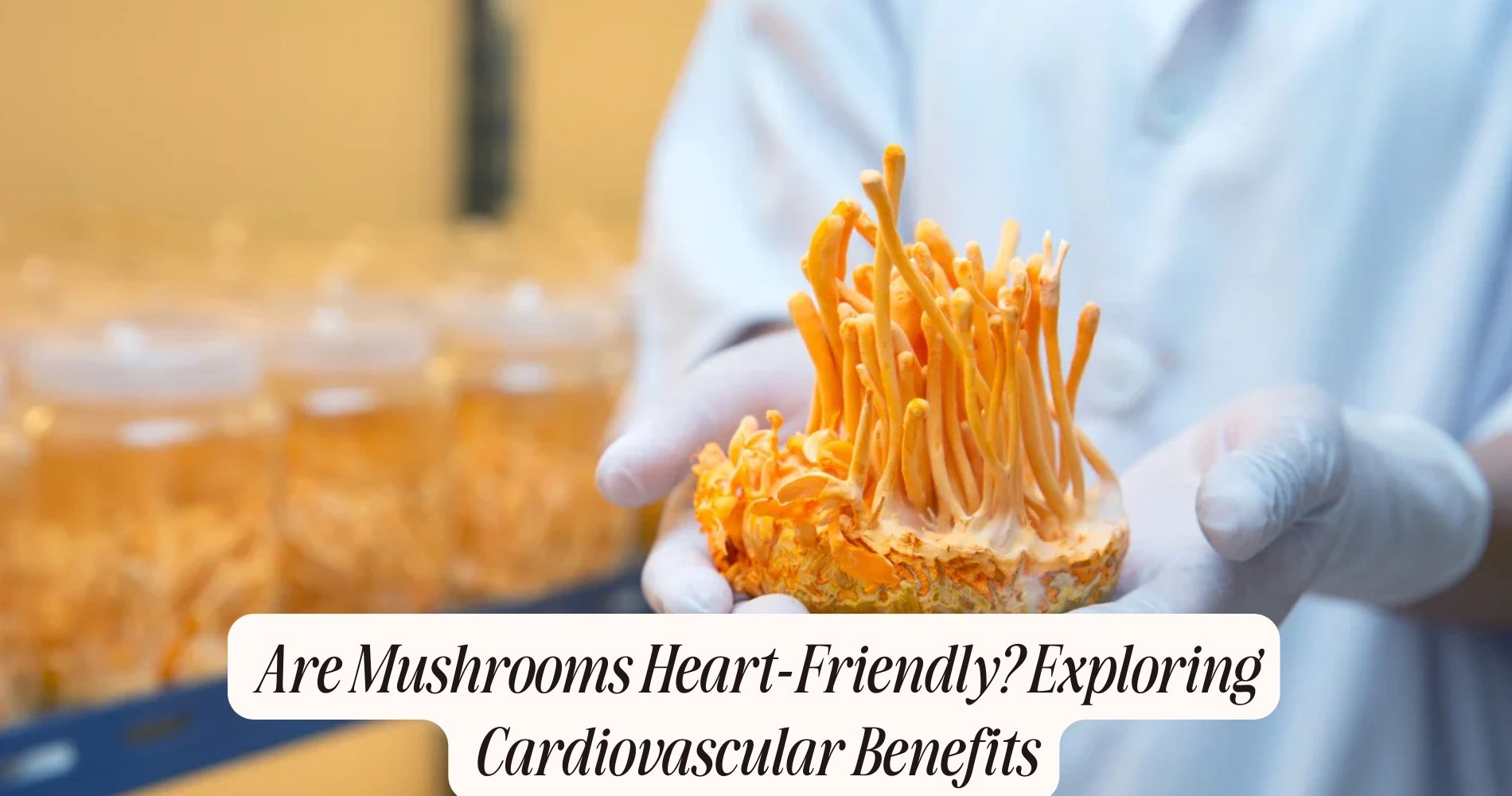are mushrooms good for your heart