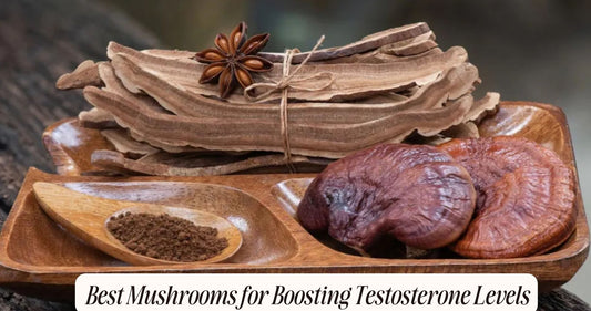 best mushrooms for testosterone