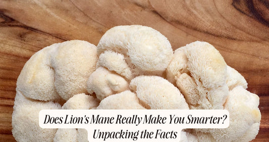 Does Lion's Mane Really Make You Smarter? Unpacking the Facts