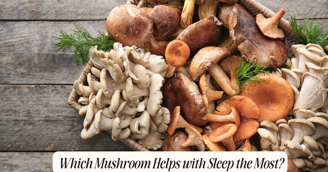 which mushroom is best for sleep