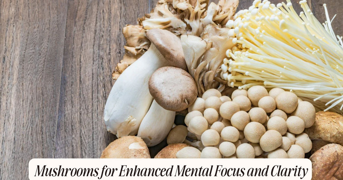 mushrooms for mental focus