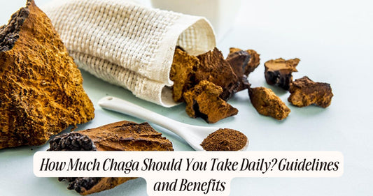 how much chaga should i take daily