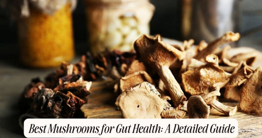 what mushroom is good for gut health