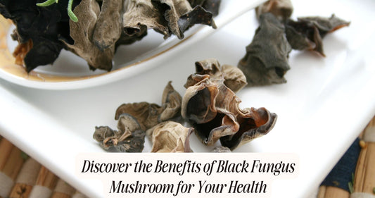 benefits of black fungus mushroom