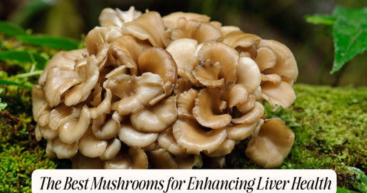 mushrooms for liver health