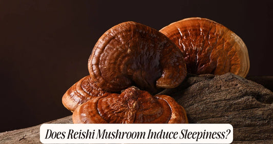 does reishi mushroom make you sleepy
