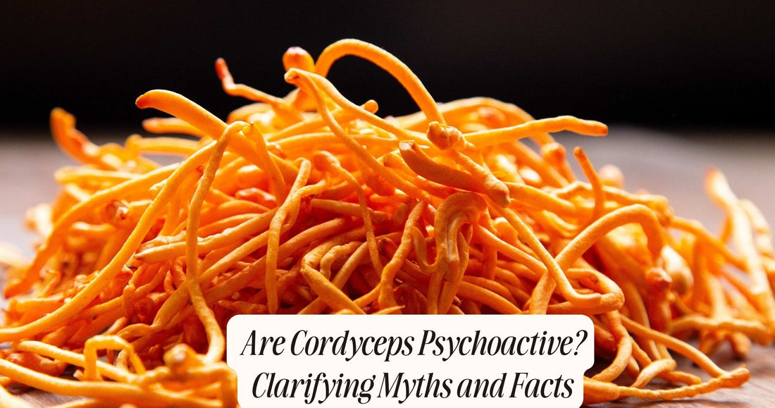 are cordyceps psychoactive