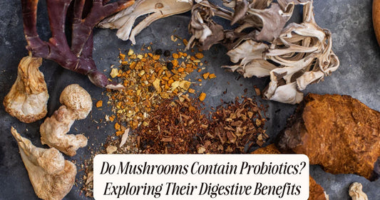 do mushrooms have probiotics