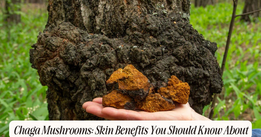 chaga mushroom benefits for skin