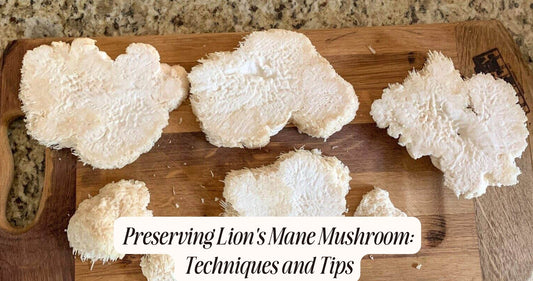 how to preserve lion's mane mushroom