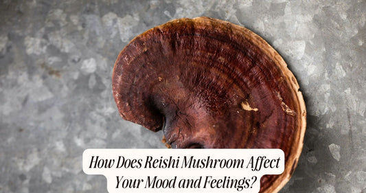 how does reishi mushroom make you feel