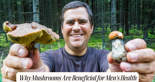 benefits of mushrooms for men