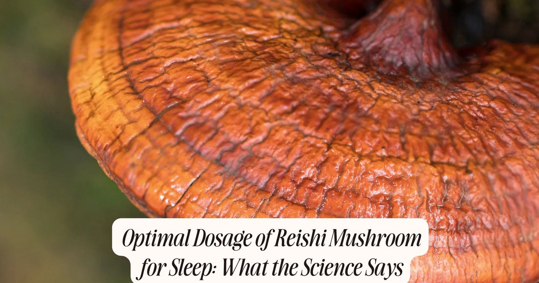 reishi mushroom dosage for sleep