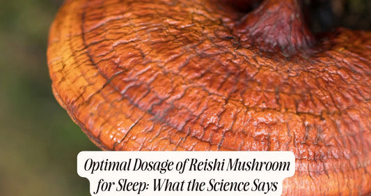 reishi mushroom dosage for sleep