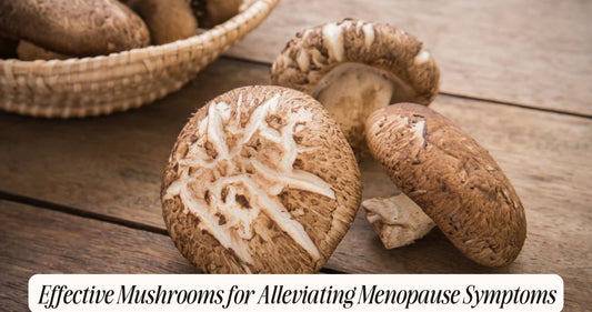 mushrooms for menopause