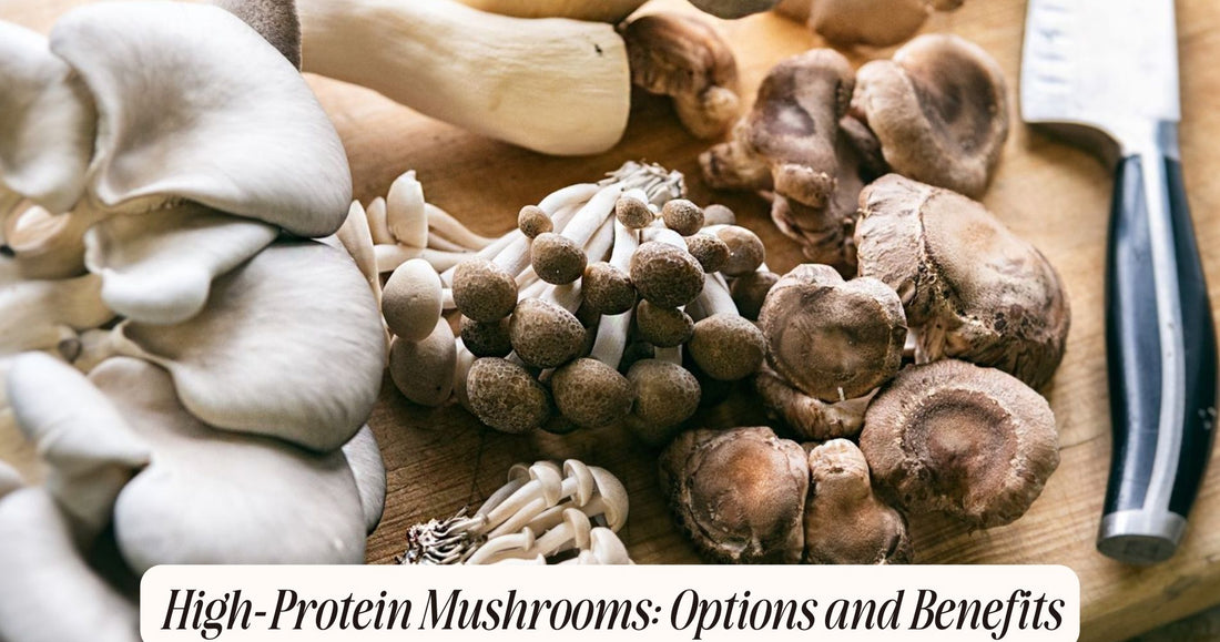 mushrooms with high protein