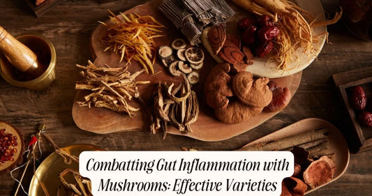 mushrooms for gut inflammation