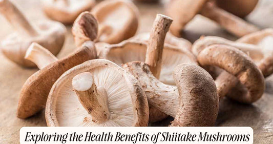 what are the health benefits of shiitake mushrooms