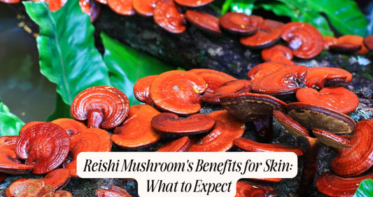 reishi mushroom for skin