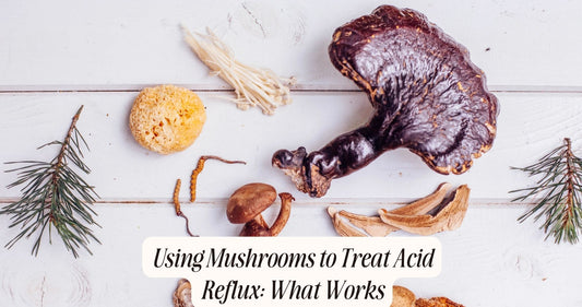 mushroom for acid reflux