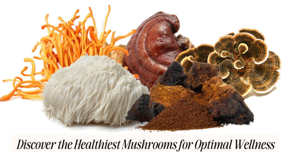 what are the best mushrooms for health