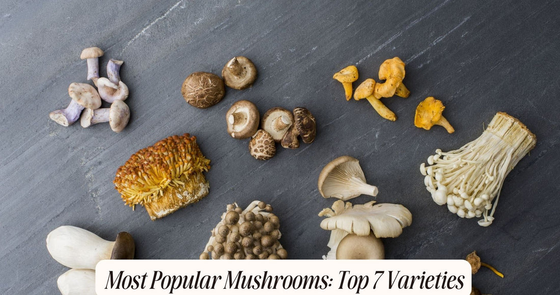 most popular mushrooms