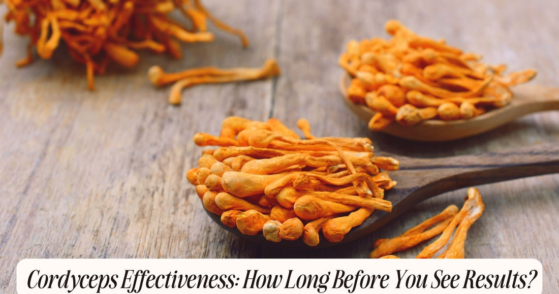 how long does cordyceps take to work