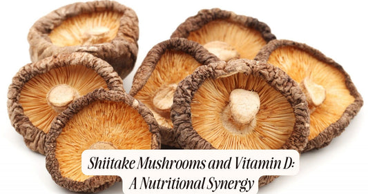 shiitake mushrooms and vitamin d