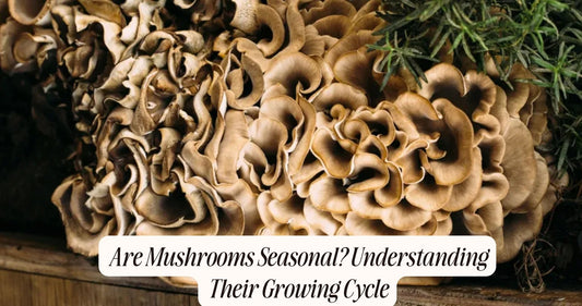 are mushrooms seasonal