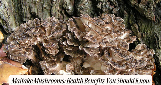 what are the benefits of maitake mushrooms