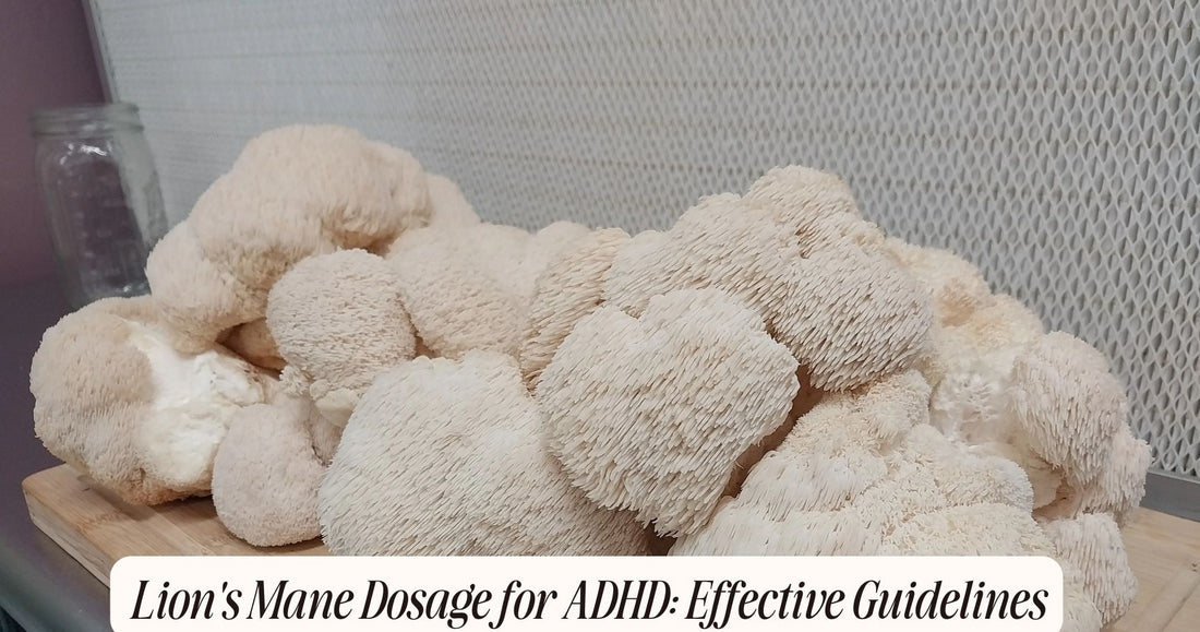 lion's mane dosage for adhd