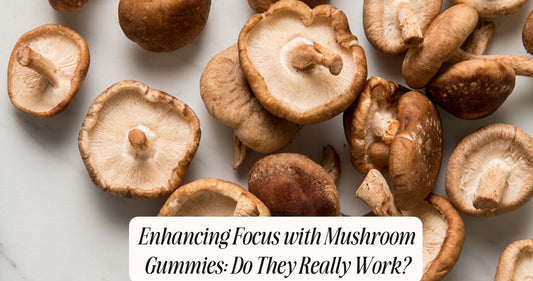 mushroom gummies for focus