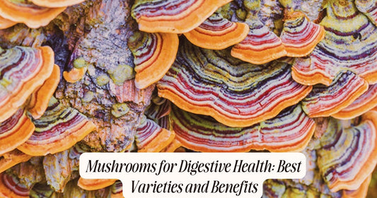 mushrooms for digestive health