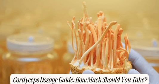 how much cordyceps should i take