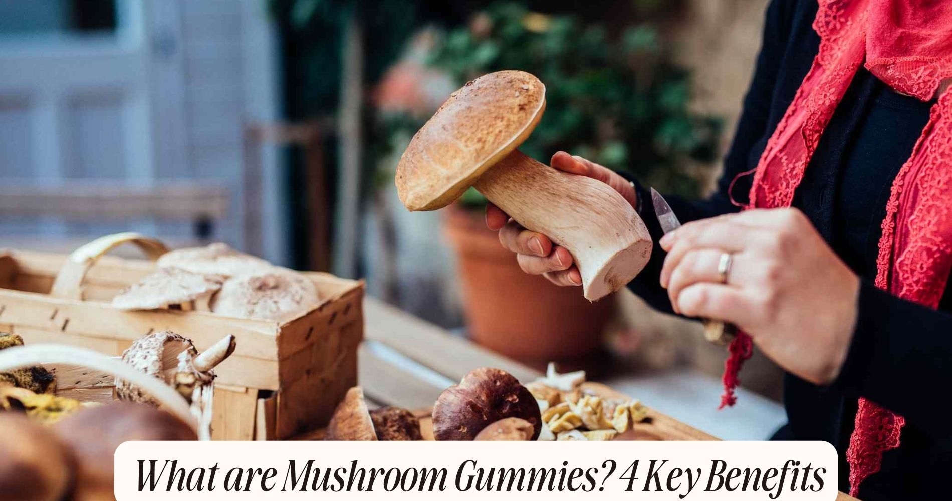 what are mushroom gummies