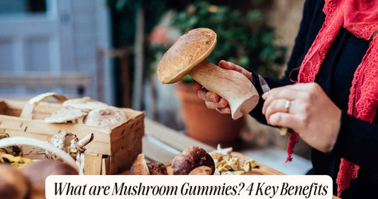 what are mushroom gummies